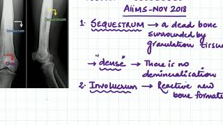 sequestrum involucrum and cloacae [upl. by Sherwood537]