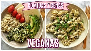 COMIDAS Y CENAS SALUDABLES PARA LA SEMANA Vegano y Vegetariano [upl. by Eylk]