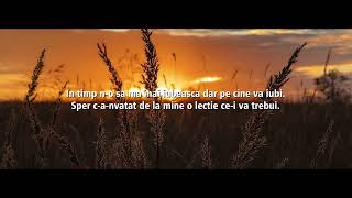 Yenic  quotDe dor si amarquot Lyrics Video [upl. by Nauwtna]