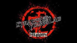 Strapping Young LAD  Detox With Lyrics [upl. by Acalia]