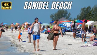 Sanibel Beach 2022  Sanibel Florida [upl. by Anoy761]