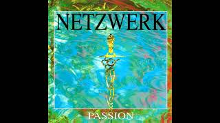 Netzwerk  PassionBorealis Mix 1995 [upl. by Harden]