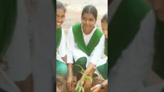 MBPatel High school and College deori NSS students program part 2 [upl. by Aicnorev]