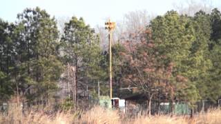 Federal Signal 2T22 statewide tornado drill  Gray GA [upl. by Dunning]