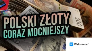 Polski złoty coraz mocniejszy w stosunku do dolara Czy RPP umocni polską walutę [upl. by Yelats153]