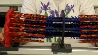 Sliding Filament Sarcomere [upl. by Schifra]