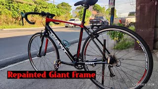 Repainted Giant Frame [upl. by Norm]