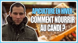 Apiculture en hiver  Comment nourrir au candi [upl. by Chapman]