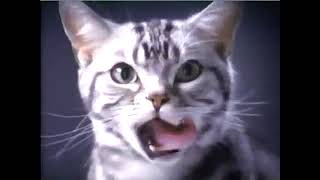 2002 Friskies Commercial Cats Being Frisky for Friskies  Aired January 2002 [upl. by Viveca]