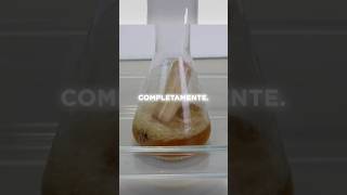 Vaporizando cosas con ácido mezcla piraña ciencia química [upl. by Rhett]