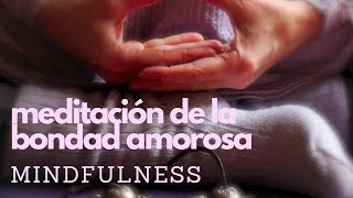 Mindfulness MBSR  Meditación de la bondad amorosa [upl. by Delogu803]