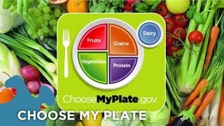 Choose My Plate Dietary Guidelines [upl. by Nelleus]