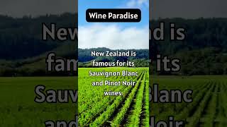 Marlboroughs Wine Paradise Sauvignon Blanc Secrets [upl. by Reham]