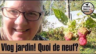 Vlog jardinage septembre 2024  Réussites problèmes et apprentissage 339 [upl. by Nac]