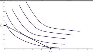 04 Optimal Consumption Point [upl. by Emmy]