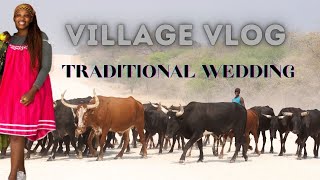 Village Vlog Visiting home amp wedding preparations [upl. by Arimihc]