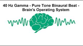 40 Hz GAMMA [upl. by Haukom272]