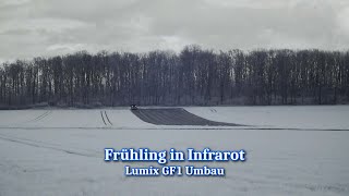 Frühling in Infrarot ein Entwurf ► Lumix GF1 Umbau mit 720 nm Filter [upl. by Gargan]