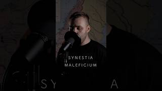 Synestia  Maleficium cover deathcore synestia cover metal universalaudio neuraldsp shure [upl. by Anid766]