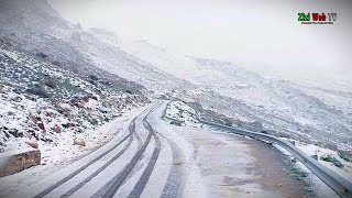 La Neige De Nouveau Sur Les Hauteurs Du Djurdjura à TiziOuzou … Les Détails … [upl. by Annoyi658]