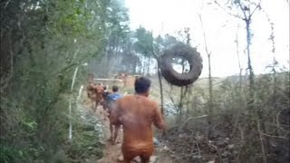 Tire Hunts Spartan during Spartan Race  Charlotte NC 03232013 [upl. by Nylehtak]