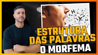 Estrutura das palavras os morfemas do português português morfema estruturadepalavras [upl. by Akinor399]