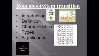 Root Stem Transition Root shoot Transition  Plant Anatomy  AZ Concepts Guide [upl. by Novrej]