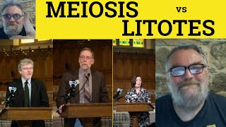 🔵 Litotes vs Meiosis  Meiosis Meaning  Litotes Definition  Rhetoric  Meiosis vs Litotes [upl. by Osmo328]