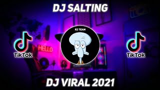 DJ SALTING X PAMBASILET SLOW BASS TIKTOK TERBARU [upl. by Dyke475]