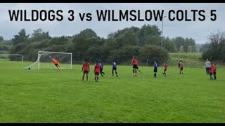 Dogs vs Wilmslow Colts 8 9 24 [upl. by Mad447]