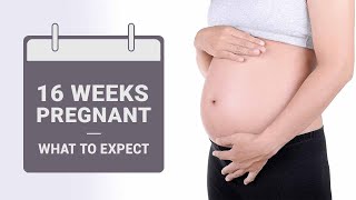 16 Weeks Pregnant  What to Expect [upl. by Naimerej]