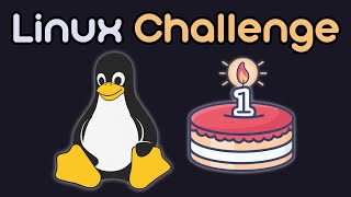 1 Year Linux Challenge [upl. by Soll]