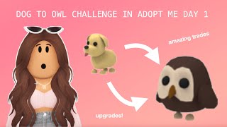 DOG TO OWL CHALLENGE DAY 1 IN ADOPT ME i got amazing trades [upl. by Gery]