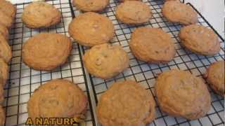 Gluten Free Toll House Cookies  Chocolate Chip Cookies [upl. by Akimak154]