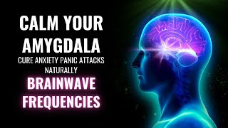 Calm Your Amygdala  Cure Anxiety Panic Attacks Naturally  Brainwave Frequencies  Amygdala Music [upl. by Aiceila]