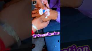 ivcannula iminjection injection ytshorts viralvideo trending [upl. by Ecirpak]