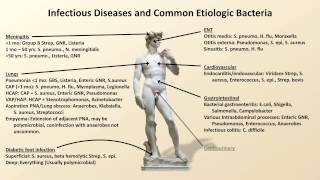 Bacterial Etiologies of Common Infections Antibiotics  Lecture 2 [upl. by Llevart]