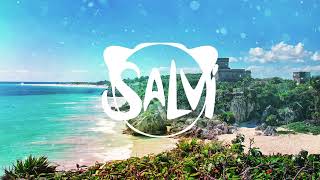 Sak Noel amp Salvi  Tulum Official Audio [upl. by Nwonknu53]