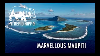 Marvellous Maupiti Sailing Intrepid Hippo [upl. by Gaves]