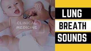 Normal and Abnormal Lung Sounds to Auscultate [upl. by Parthen636]