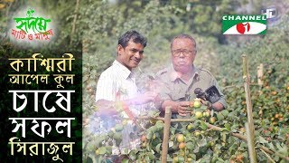 দেশে কাশ্মিরী আপেল কুল চাষে সফল সিরাজুল  Shykh Seraj  Channel i [upl. by Arries]