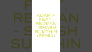 Adam F feat Redman  Smash Sumthin remix [upl. by Nylecoj680]