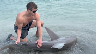 Sandbar Shark Fishing Sanibel Florida [upl. by Sid237]