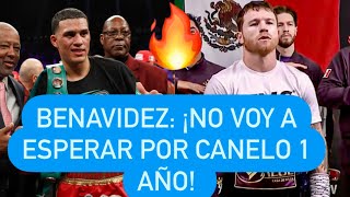 ¡BENAVIDEZ SE CANSÓ DEL CANELO Y DIJO BASTA boxing [upl. by Daas]