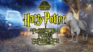 Harry Potter A Forbidden Forest Experience [upl. by Elauqsap]