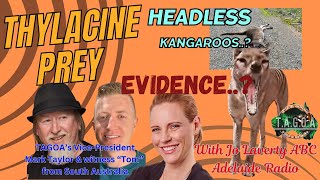 Beware graphic imagesThylacine evidence investigation headless Kangaroos with ABC Radio Adelaide [upl. by Garling]