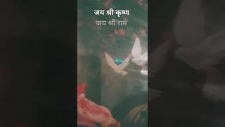 Mangal bhavan a Mangal Hari ramayan songs rabindr jeen youtube treding shorts viral video ram [upl. by Gut]