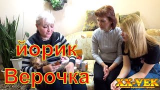 Йоркширский терьер Верочка уехала в Кременчугпитомник XXVek [upl. by Arratahs]