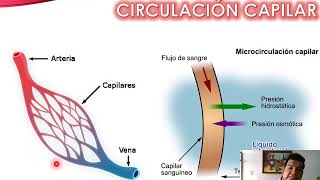 Soluciones Parenterales  Generalidades de los Coloides [upl. by Kalam741]