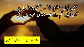 Awesome Urdu Poetry Collection on Mohabbat  Hindi Romantic Poetry  Urdu RPoetry on Love [upl. by Geraldine]